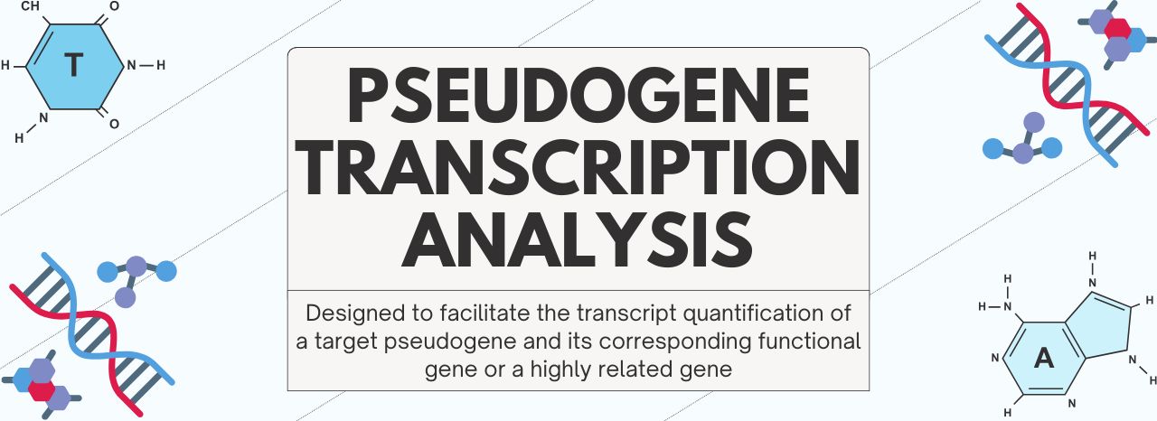 Pseudogene Analysis with GeneQuery™ qPCR Kits!
